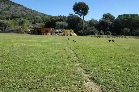 Casita En Plena Naturaleza Con Piscina Y Wifi Gratis *